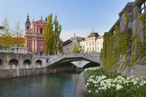 capital of slovenia|capital of slovenia ljubljana.